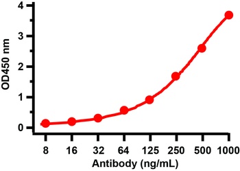 SARS-CoV-2 (COVID-19) Spike Antibody (cleavage site)