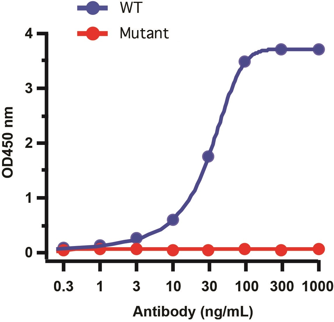 SARS-CoV-2 (COVID-19) Spike 26P Antibody [1C3H9]