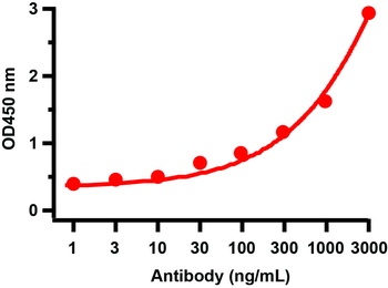 SARS-CoV-2 (COVID-19) Envelope Antibody