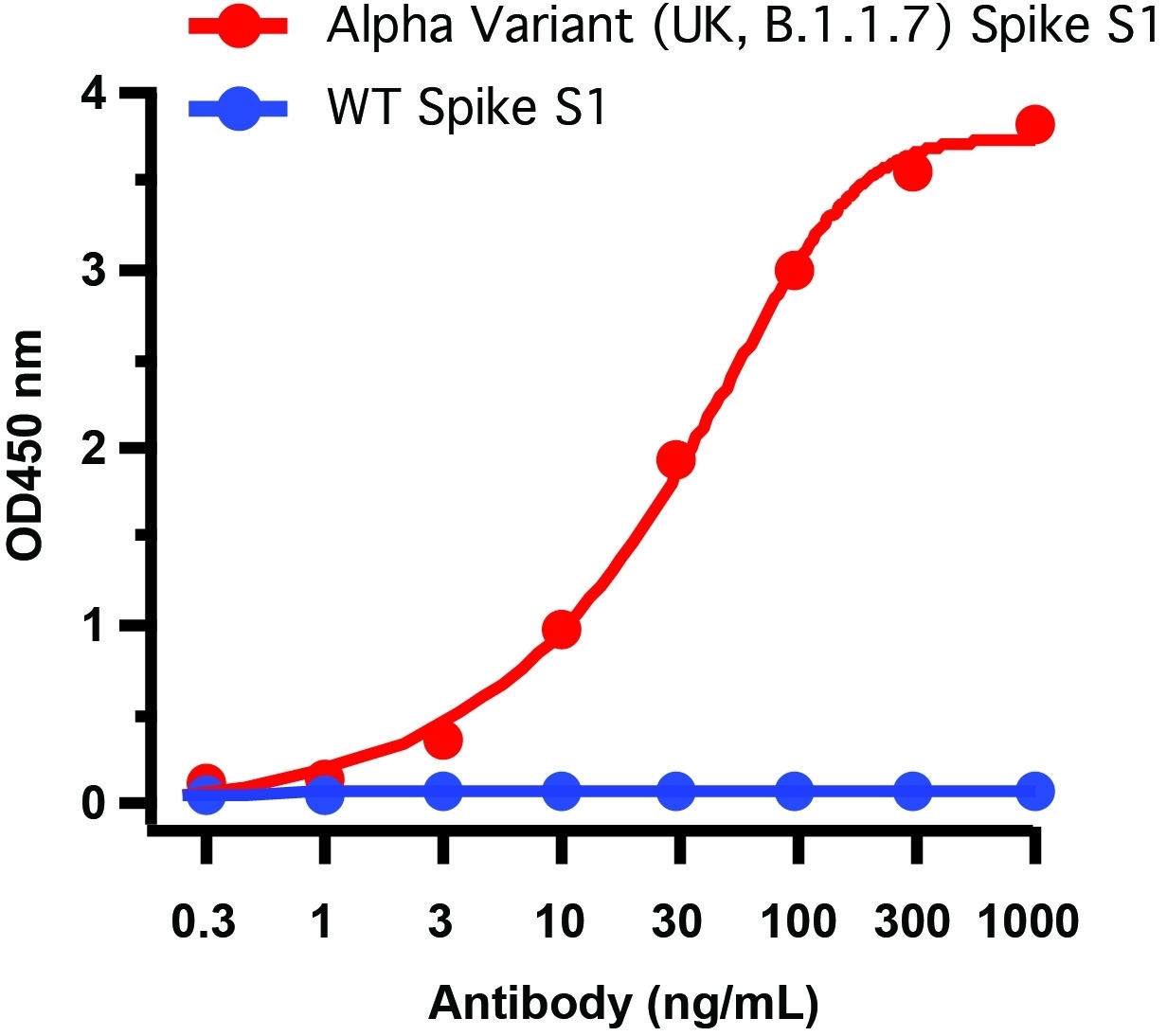 SARS-CoV-2 Spike P681H Antibody [7C11H11] (Omicron, Alpha Variant)