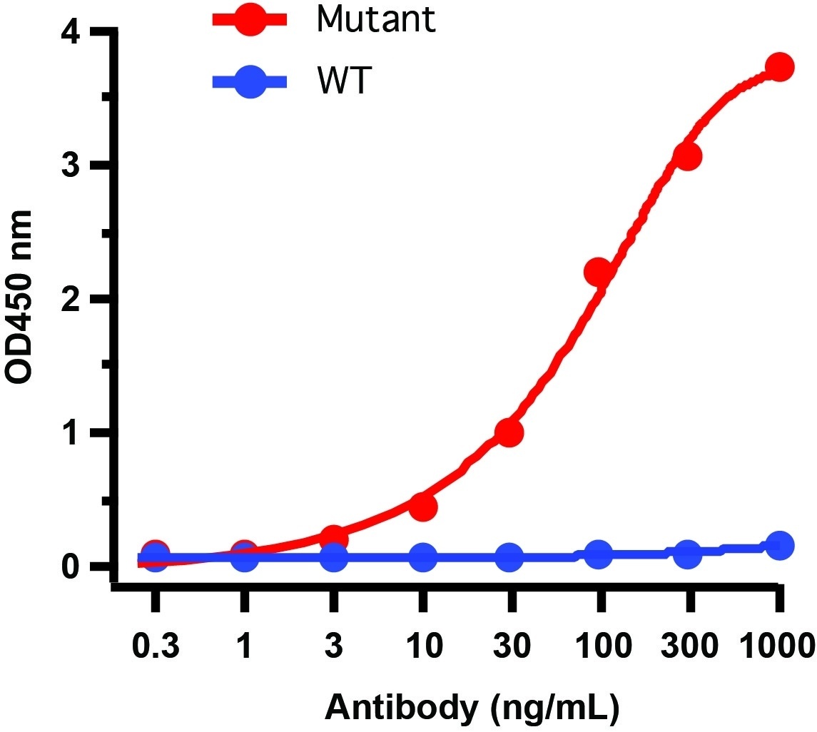 SARS-CoV-2 Spike P681H Antibody [7A4D12](Alpha, Mu Variant)