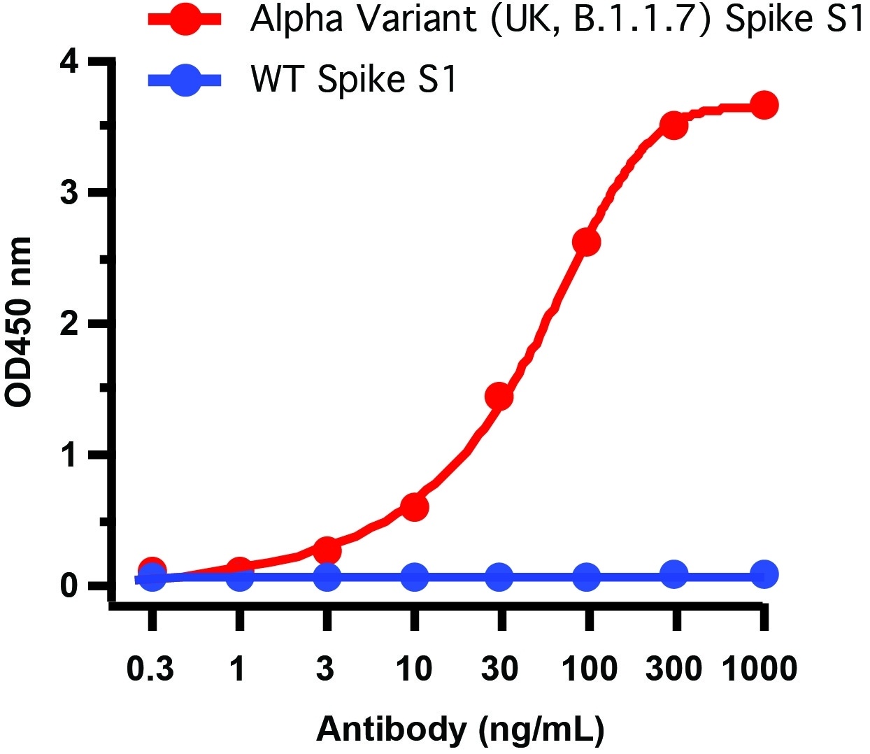 SARS-CoV-2 Spike P681H Antibody [1G8D11] (Alpha, Mu Variant)