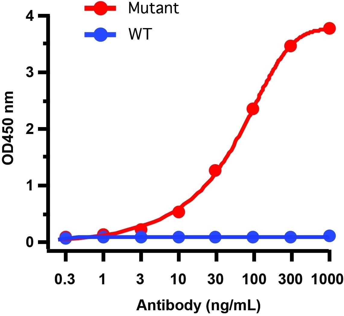 SARS-CoV-2 Spike P681H Antibody [1G8D11] (Alpha, Mu Variant)