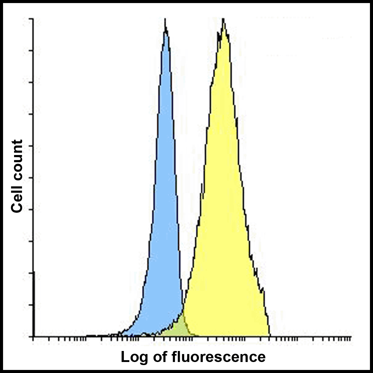 PDL2 Antibody [7C1]