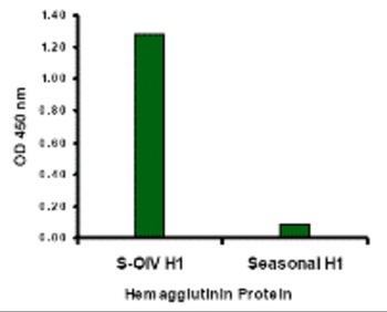Swine H1N1 Hemagglutinin Antibody
