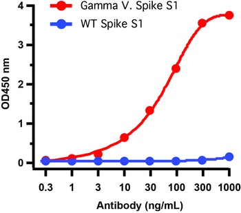 SARS-CoV-2 Spike P26S Antibody (Gamma Variant)