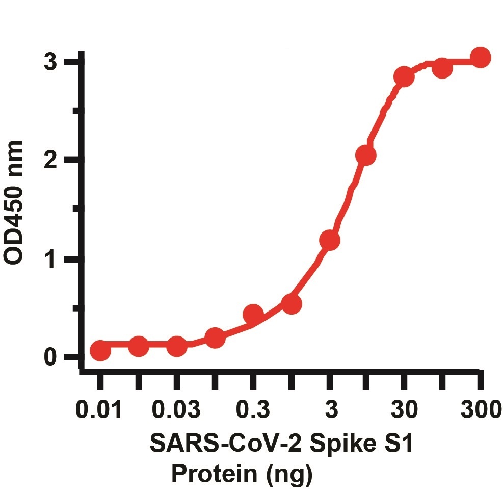 SARS-CoV-2 (COVID-19) Spike S1 Antibody (biotin)