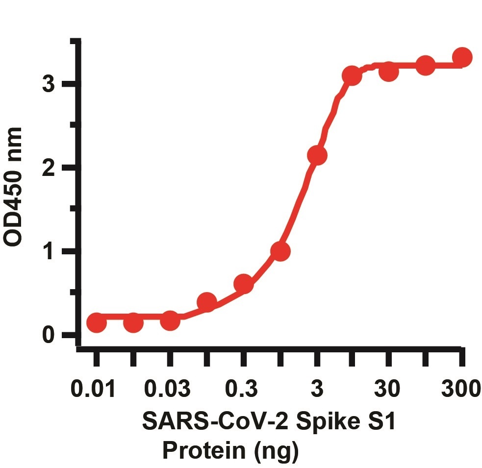 SARS-CoV-2 (COVID-19) Spike S1 Antibody (biotin)