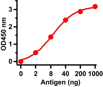 SARS-CoV Matrix Antibody