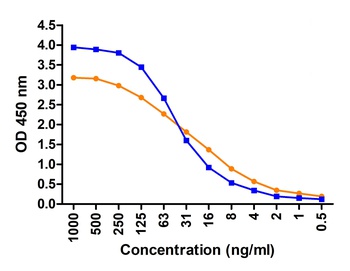 SARS-CoV-2 (COVID-19) Envelope Antibody (biotin)