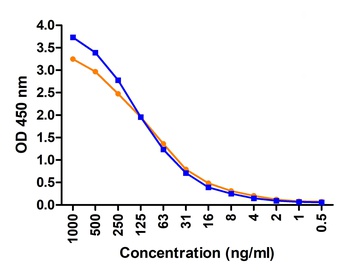 SARS-CoV-2 (COVID-19) Envelope Antibody (HRP)