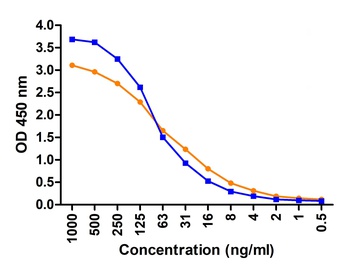 SARS-CoV-2 (COVID-19) Spike Antibody (HRP)