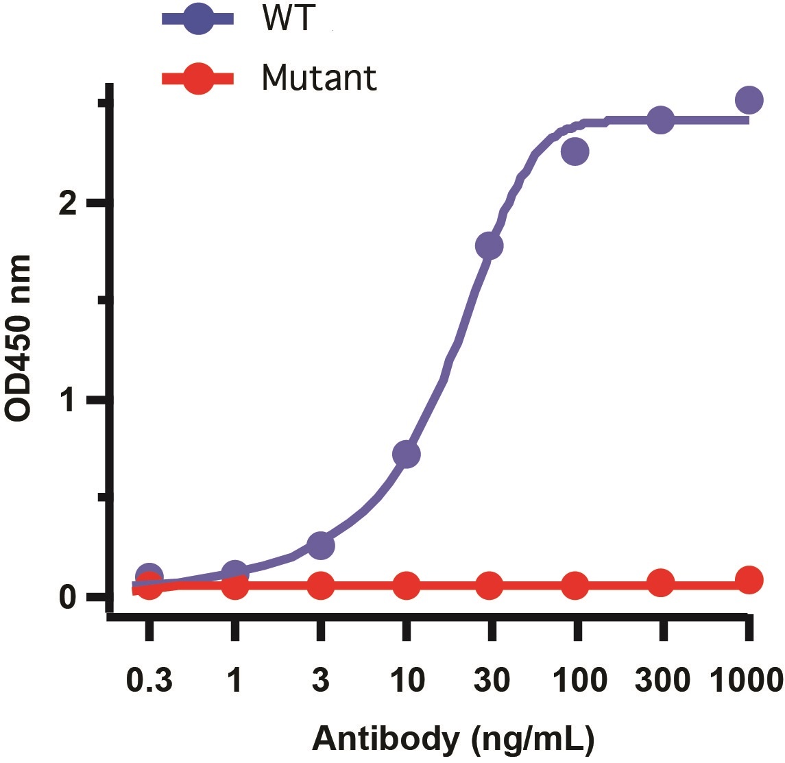 SARS-CoV-2 (COVID-19) Spike 681P Antibody [8G10A1]