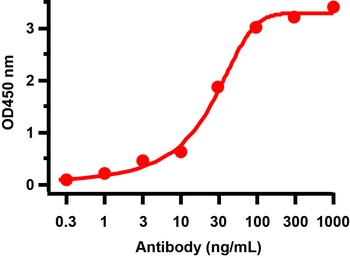 SARS-CoV-2 (COVID-19) ORF9c Antibody
