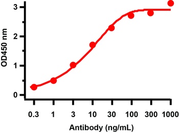 ORF8 Antibody