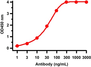 ORF3b Antibody