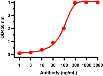SARS-CoV-2 (COVID-19) ORF3b Antibody