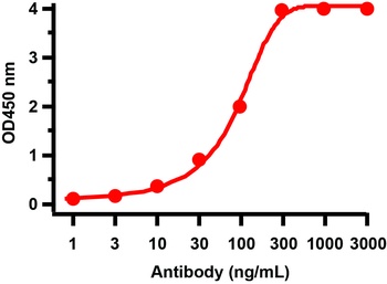 ORF3b Antibody