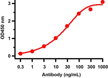 ORF3a Antibody