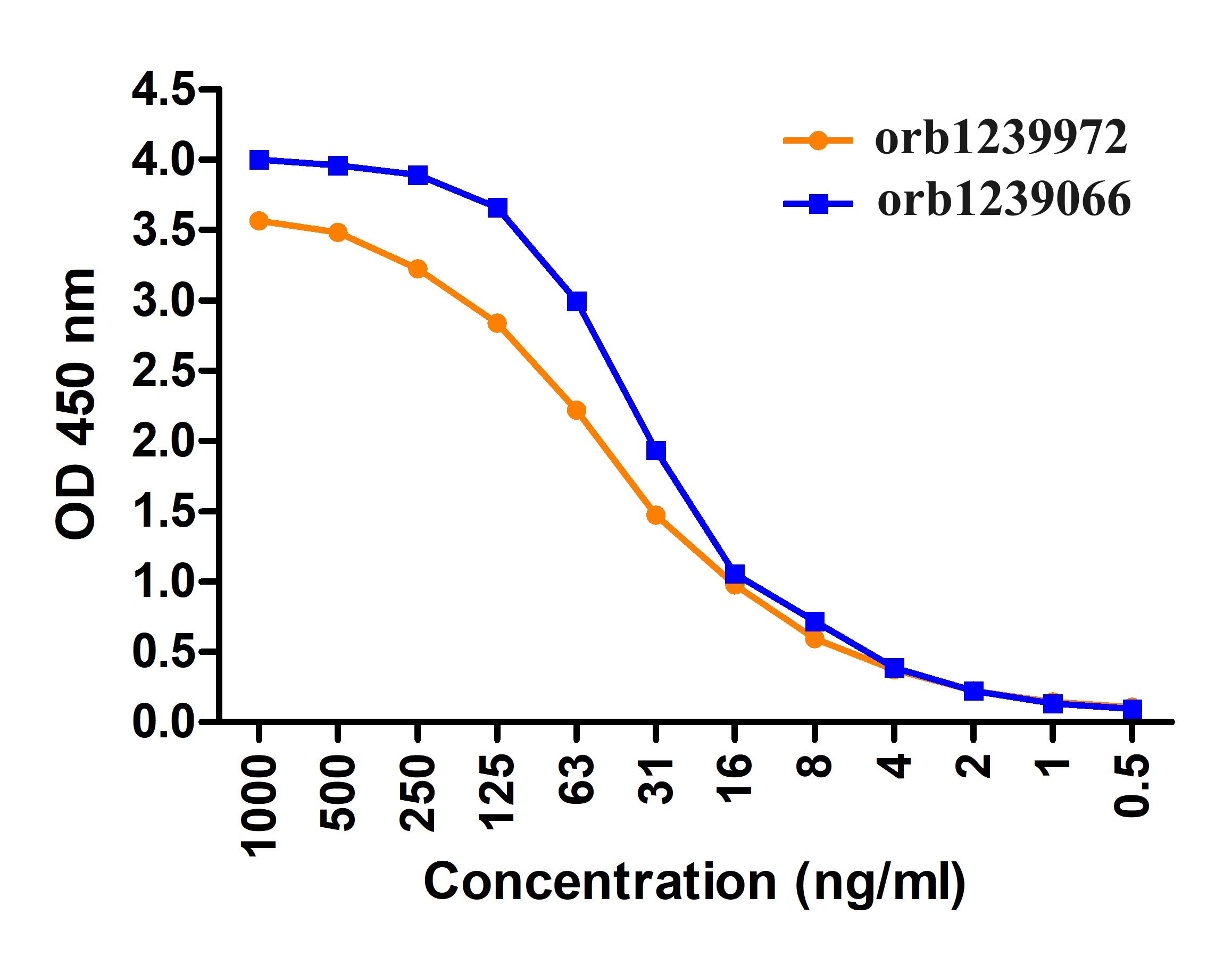 SARS-CoV-2 (COVID-19) Nucleocapsid Antibody (HRP)