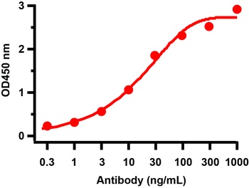 Non-structural protein 9 Antibody
