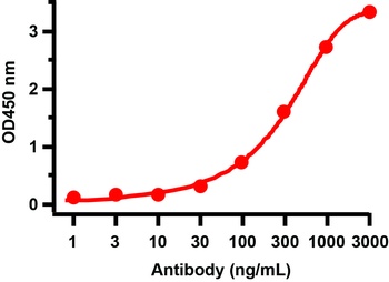 Non-structural protein 8 Antibody