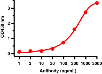 SARS-CoV-2 (COVID-19) NSP8 Antibody