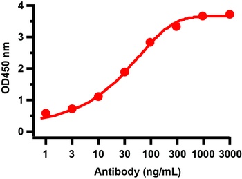 Non-structural protein 7 Antibody