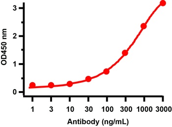 3CL-PRO Antibody