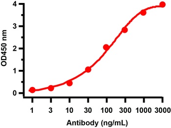 Non-structural protein 2 Antibody