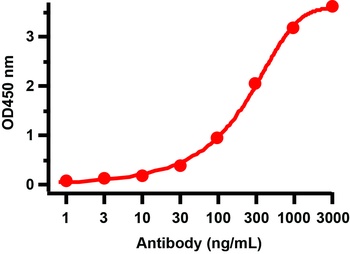NSP16 Antibody
