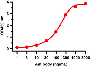 HEL Antibody