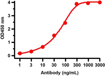 HEL Antibody