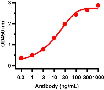 HEL Antibody