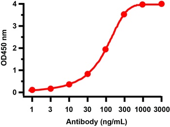 Non-structural protein 10 Antibody