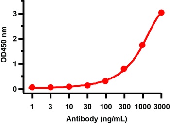 SARS-CoV-2 (COVID-19) Membrane Antibody