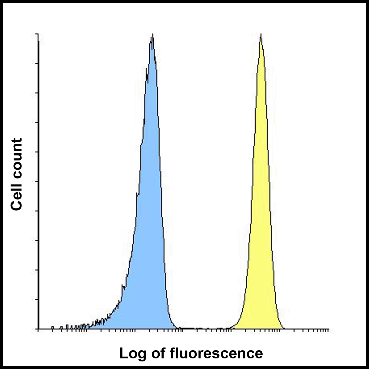 B7H3 Antibody [2A7]
