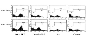 CX3CR1 Antibody