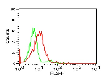 CX3CR1 Antibody