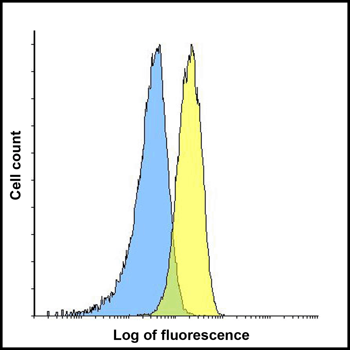 LAG3 Antibody [1G4]