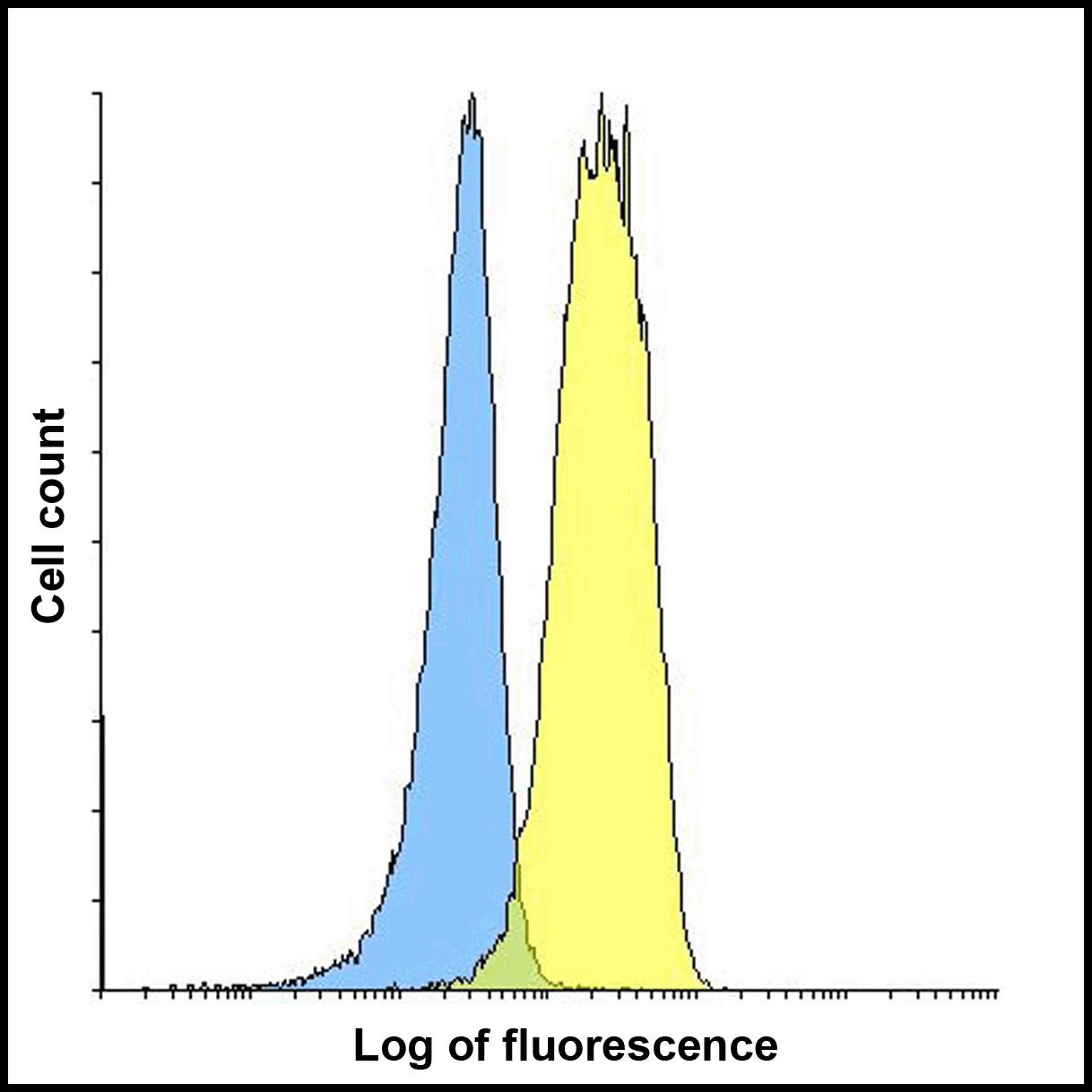 LAG3 Antibody [2G8]