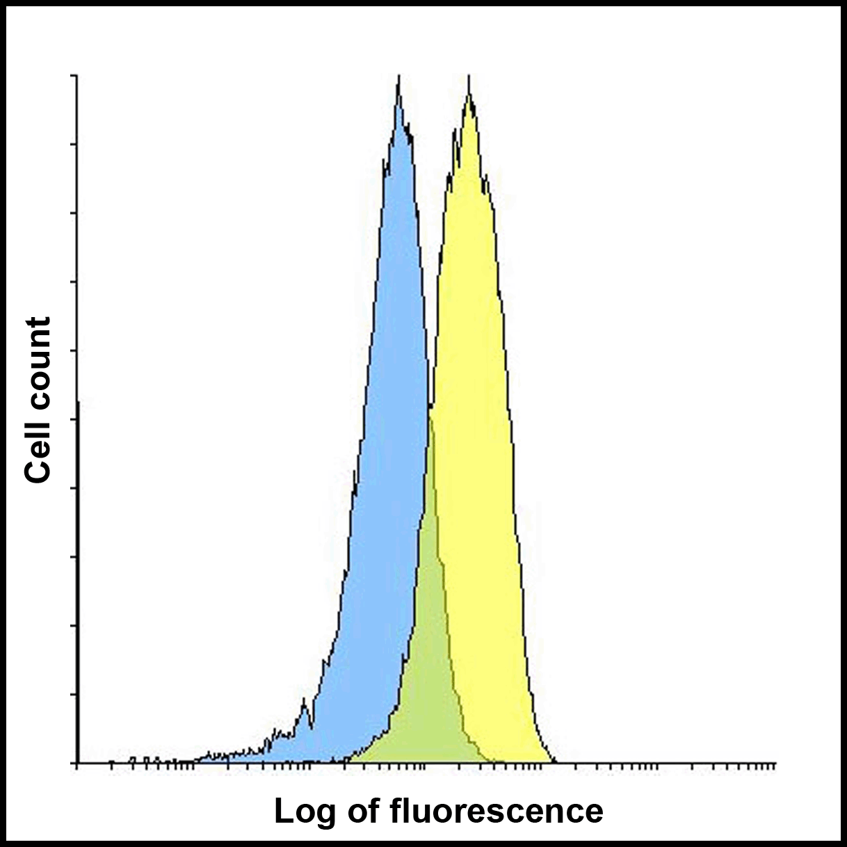 LAG3 Antibody [5F11]