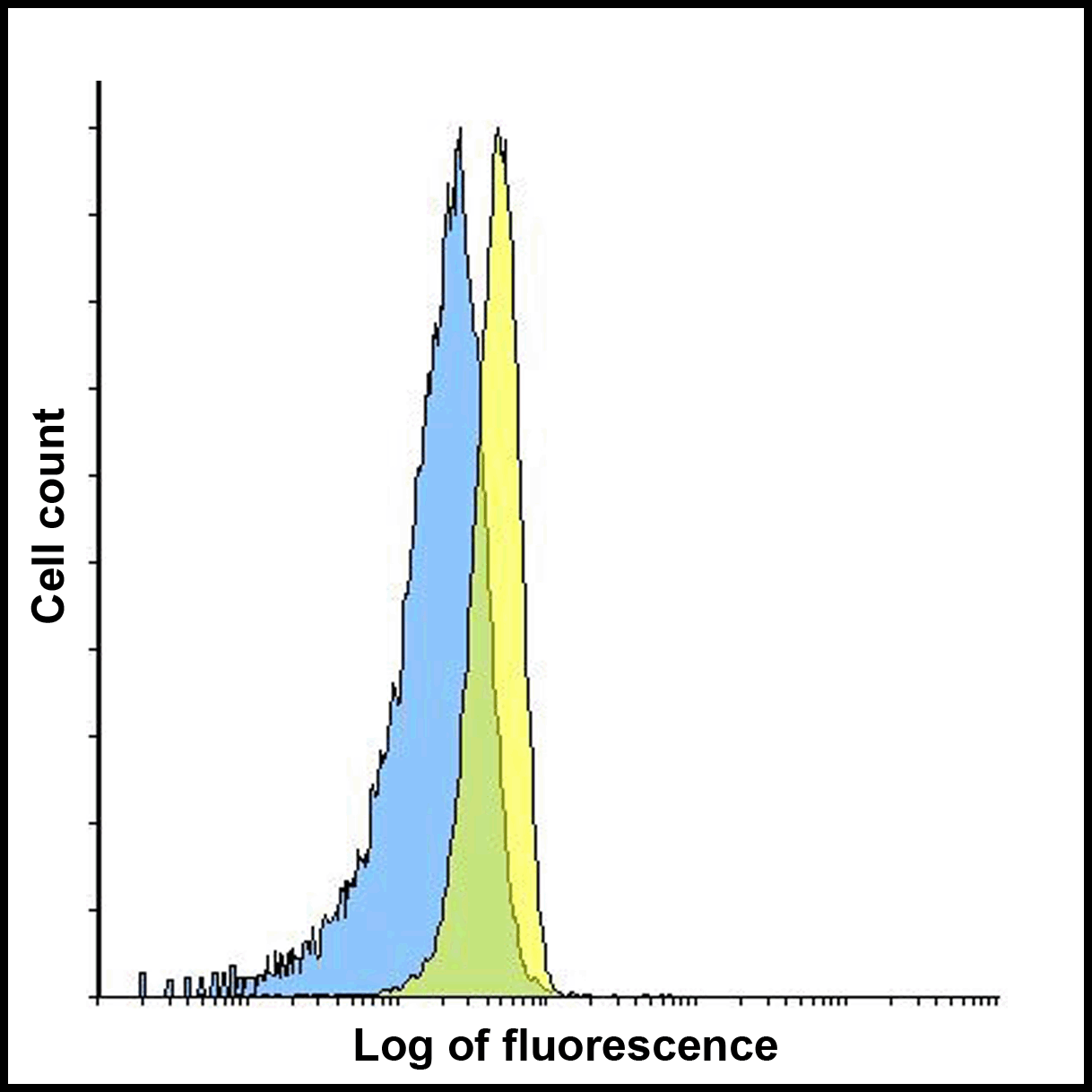 LAG3 Antibody [6B12]