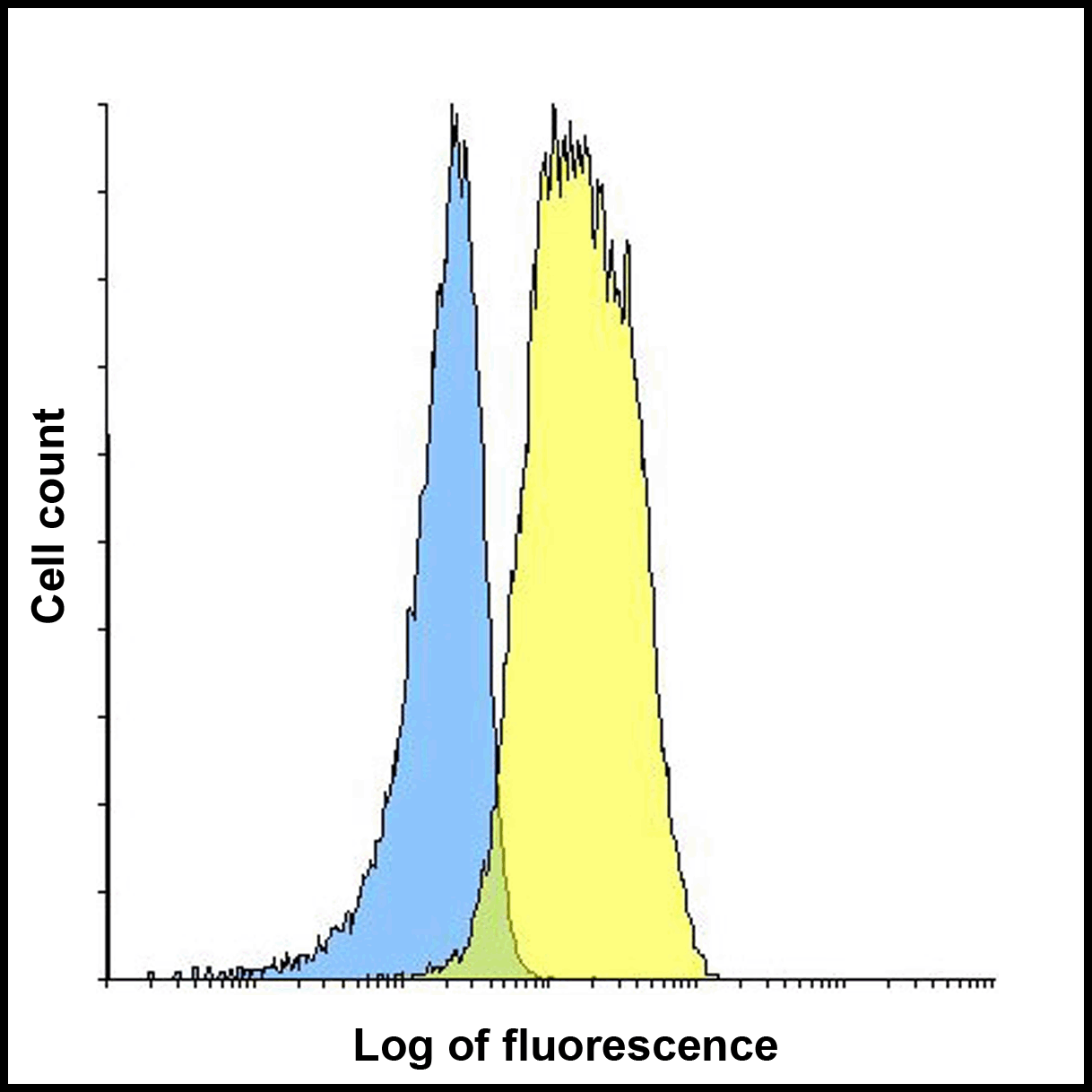 LAG3 Antibody [9F9]