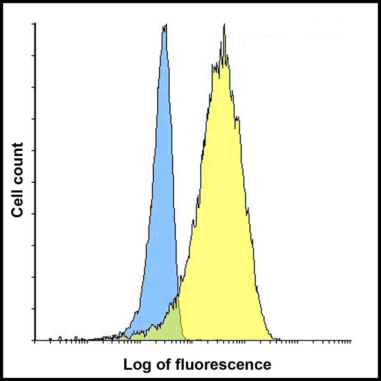 LIGHT Antibody [7B9E12]