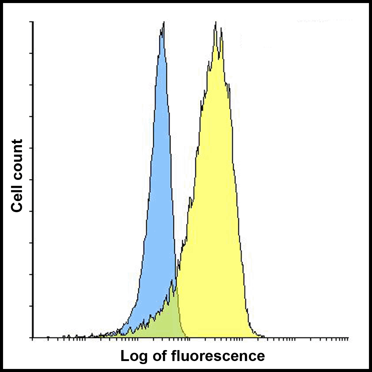 LIGHT Antibody [7B9F12]