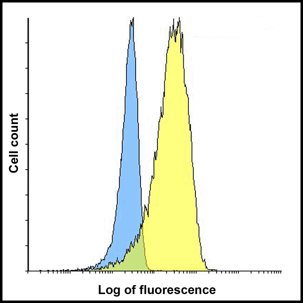 LIGHT Antibody [7B9H9]