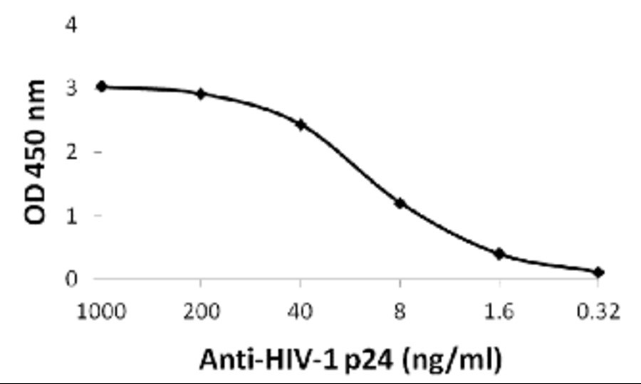 HIV-1 p24 Antibody [8G9]