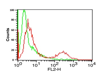 PD-L1 Antibody