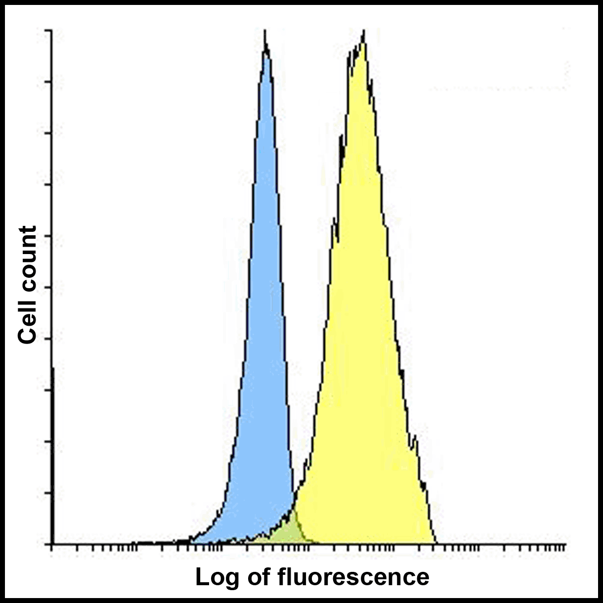 PDCD1LG2 Antibody